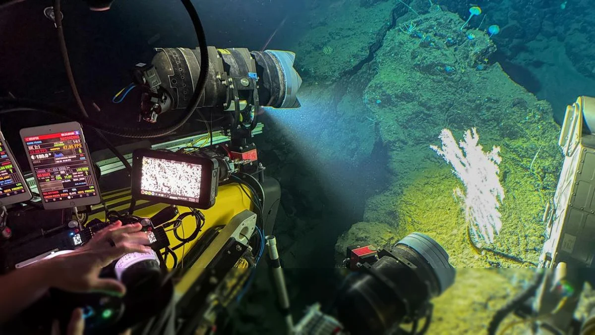 Ekspedisi OceanX dan BRIN Ungkap Kekayaan Hayati Laut Sulawesi yang Masih Misterius