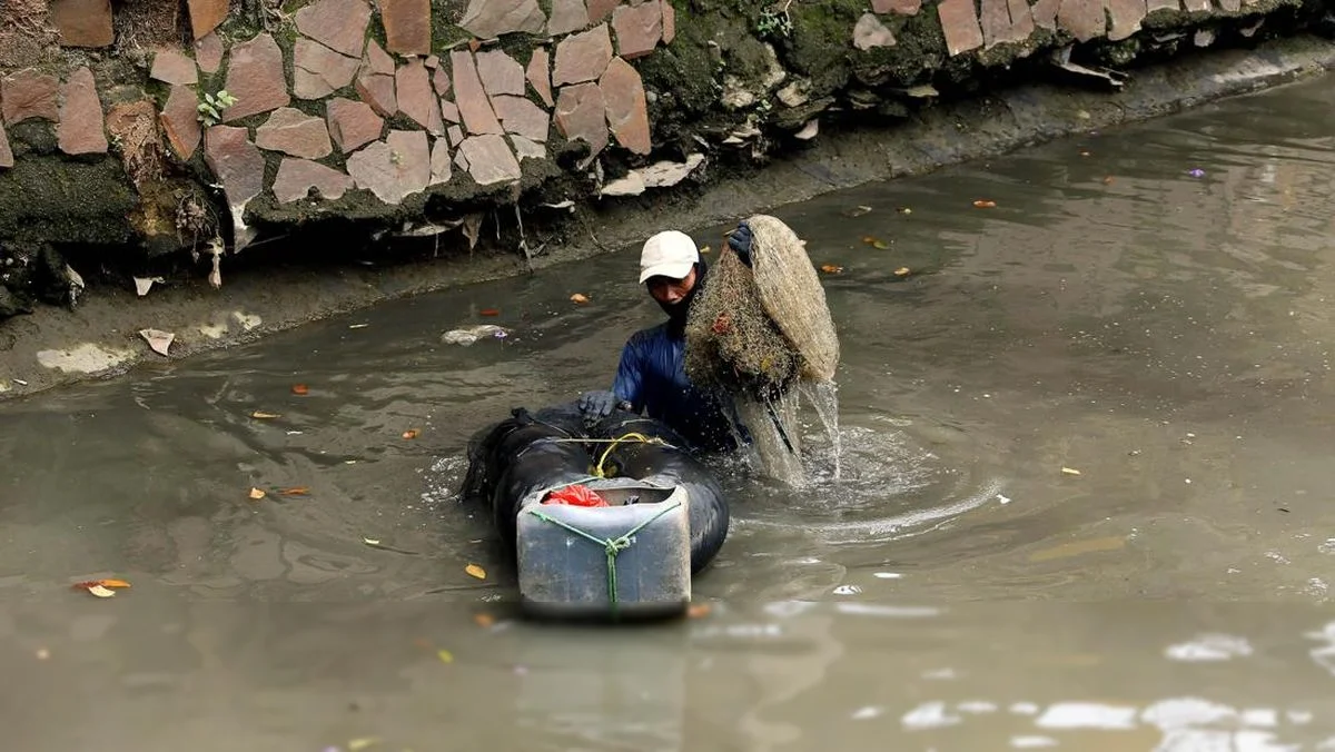Pakar BRIN: Lonjakan Ikan Sapu-sapu Ciliwung, Sinyal Kerusakan Lingkungan?